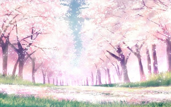 Черри блоссом аниме