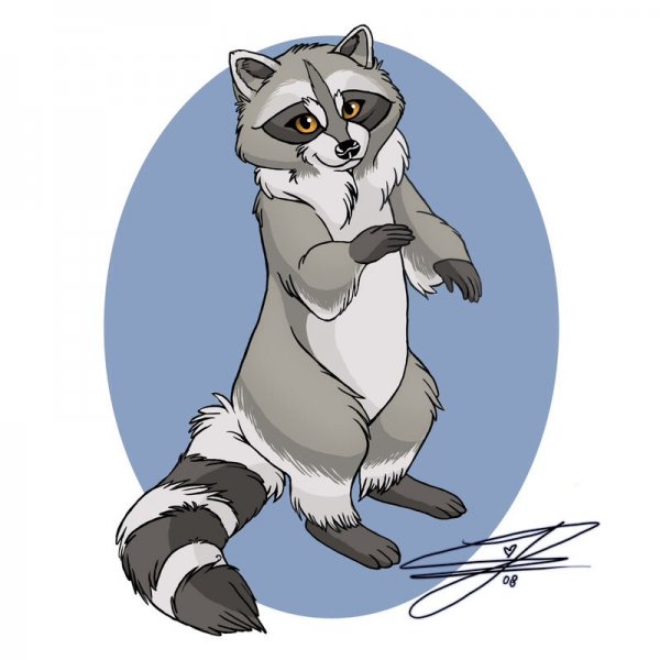 Еноты Тануки фурри