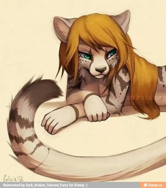 Фурри девушки карандашом