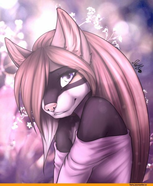 Рисунки фурри