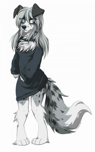 Аниме волки люди