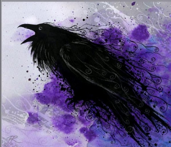Фиолетовая ворона