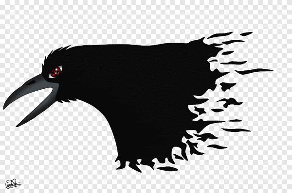 Ворон Итачи