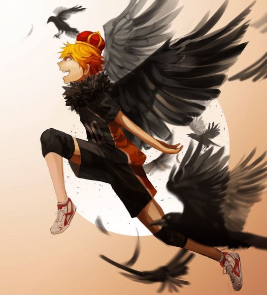 Король Воронов в Карасуно