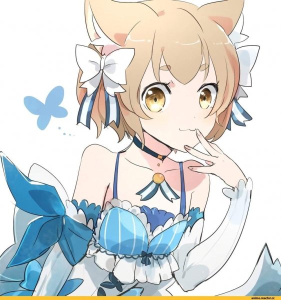 Феликс Аргайль аниме