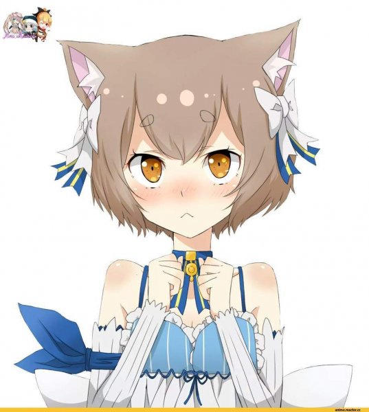 Феликс Аргайл Чиби