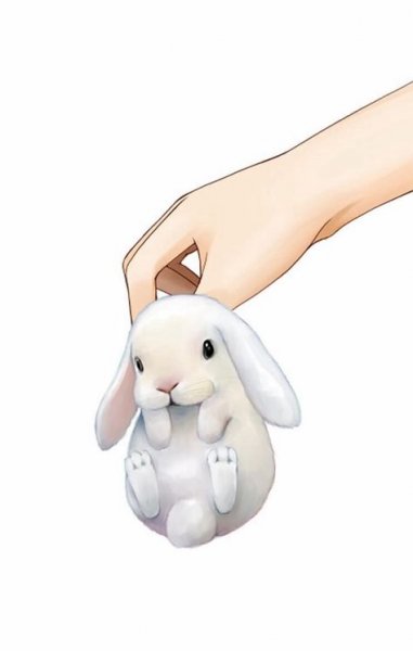 Кавайные зайчики