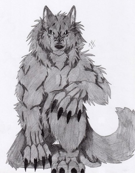 Волки аниме