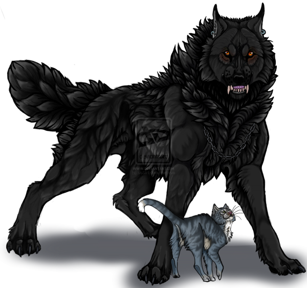 Блэк Вольф аниме