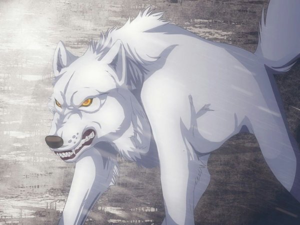 Аниме Волков Волчий дождь