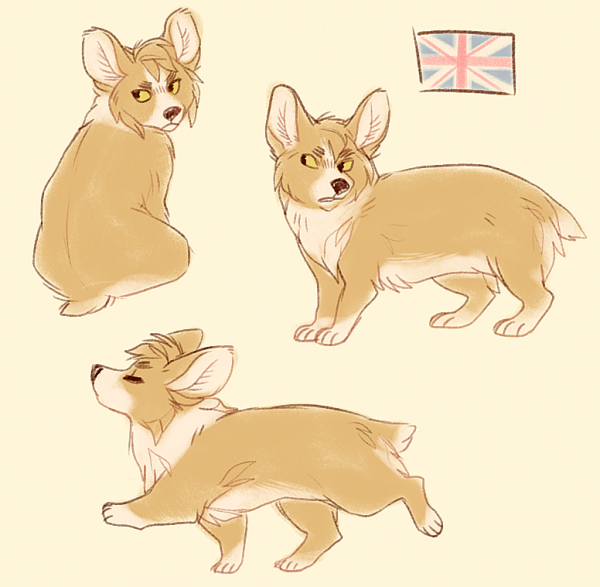 Корги референс позы