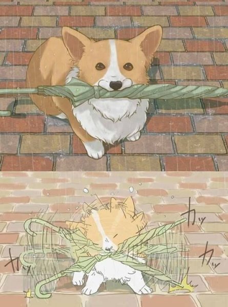 Анимешные корги