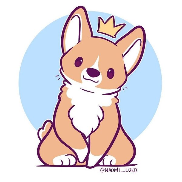 Наоми Лорд корги