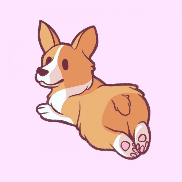 Покемон собака корги