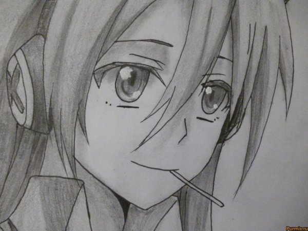 Аниме карандашом убийца акаме