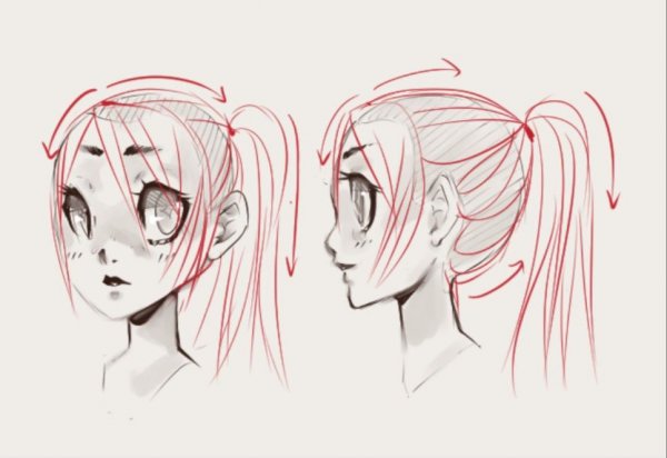 Референс прически хвостик