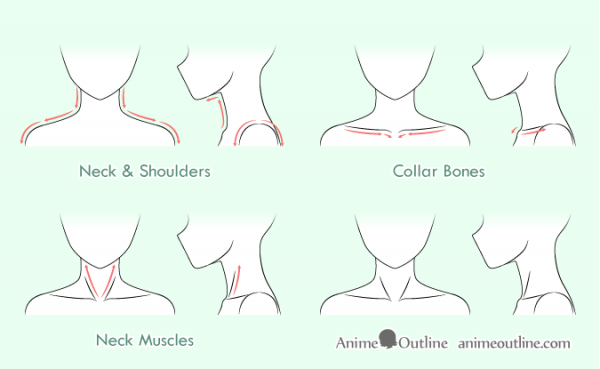 Нарисовать аниме шею