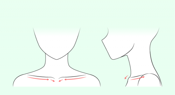 Как рисовать плечи и шею