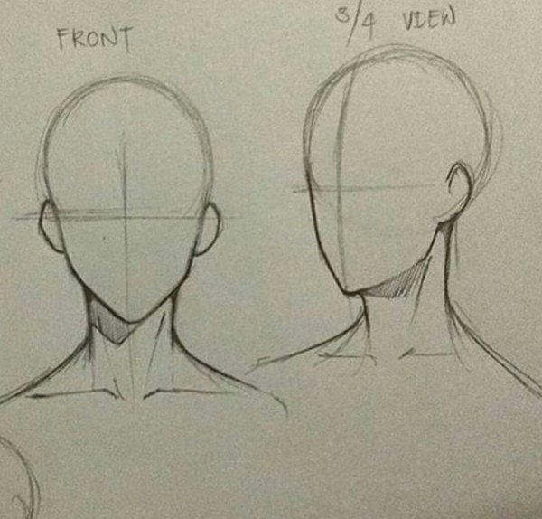 Анатомия аниме