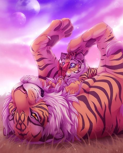 Фурри тигры семья