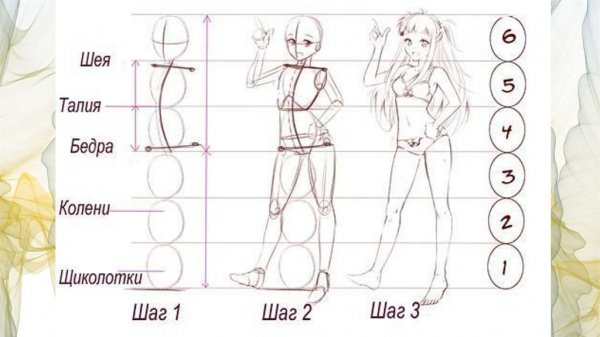Пропорции тела человека для рисования аниме
