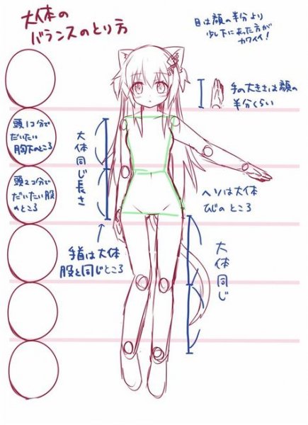 Пропорции для рисования аниме