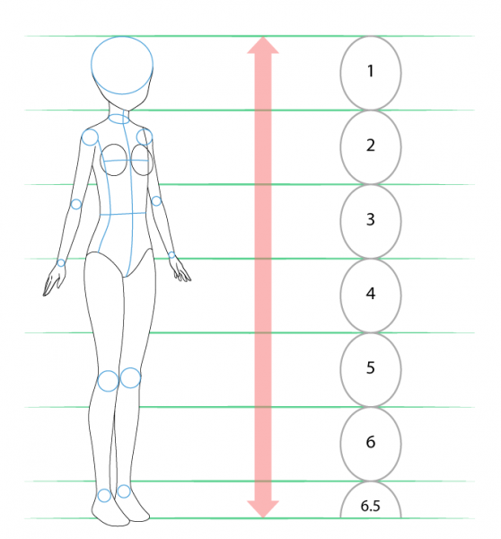 Аниме строение тела