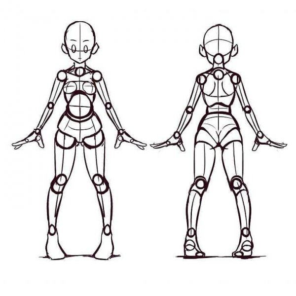 Пропорции человека для рисования аниме