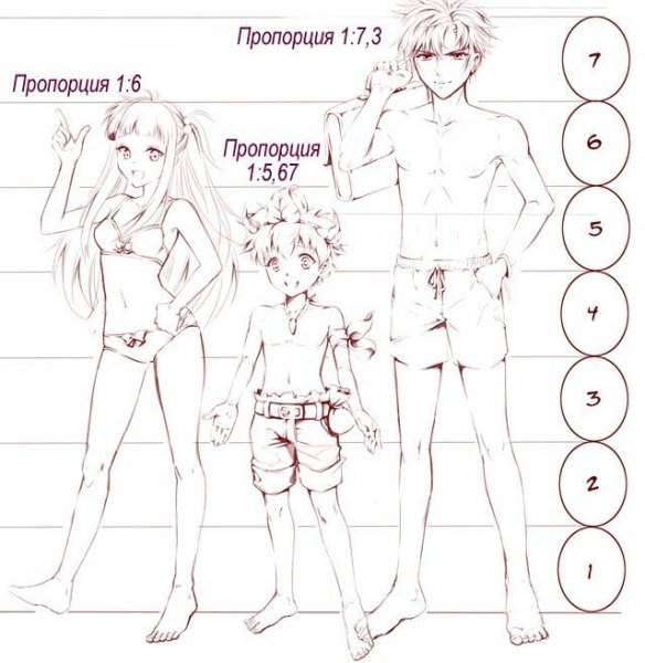 Пропорции аниме тела парня
