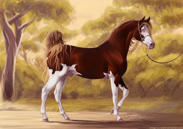 Арты лошадей