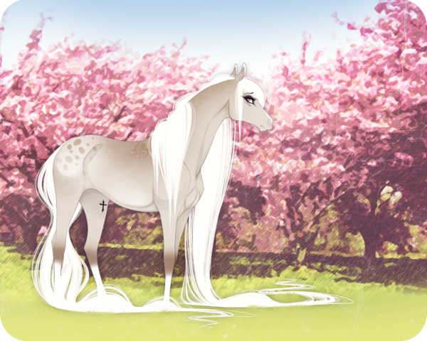 Красивые лошади аниме