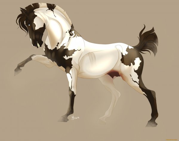 Лошадь для ролки