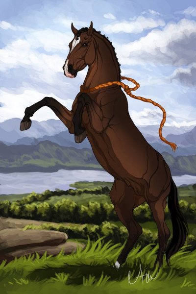 Арты лошадей