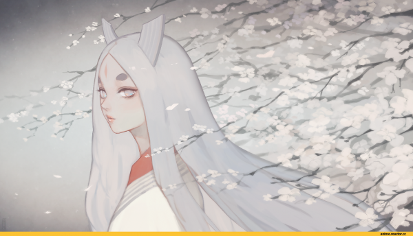 Кагуя Ооцуцуки арт