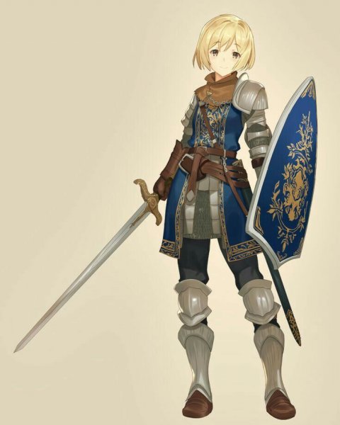 Паладины из аниме