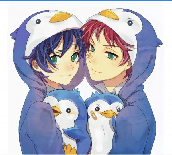 Аниме девушка Пингвин