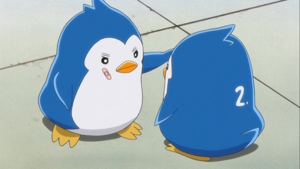 Пингвиний барабан пингвины