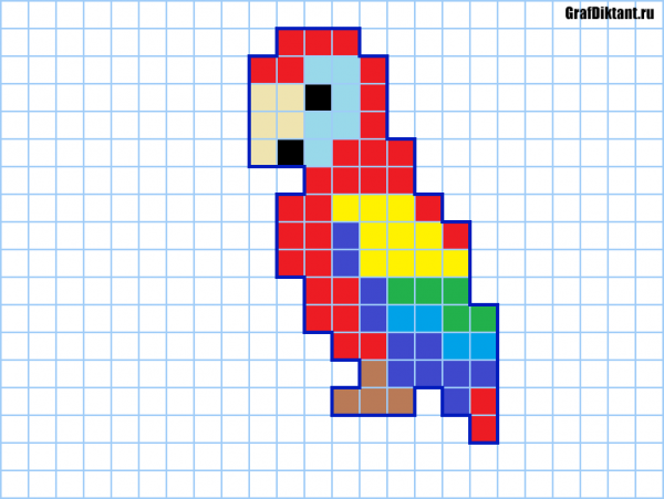 Попугай по клеточкам в тетради