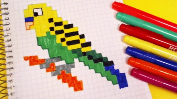 Попугай по клеточкам