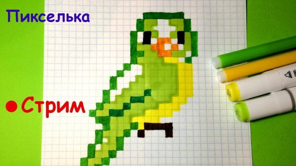 Попугай по клеточкам в тетради