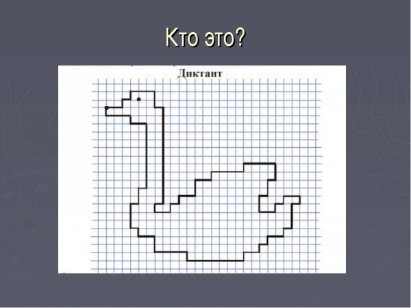 Диктант по клеточкам кенгуру