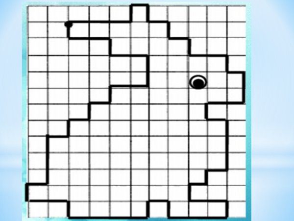 Графический диктант животные