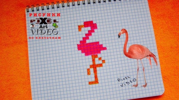 Рисование по клеточкам в тетради маленькие Фламинго