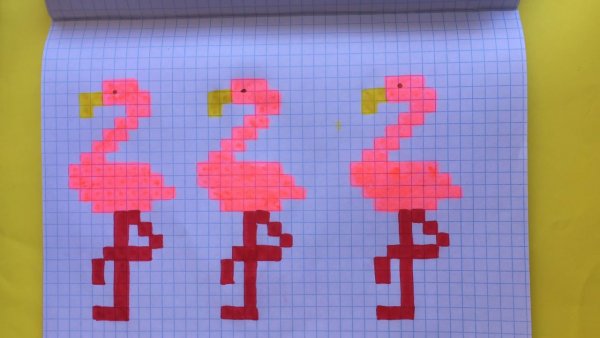 Рисунки в клеточку Фламинго