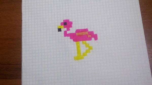 Фламинго по клеточкам в тетради