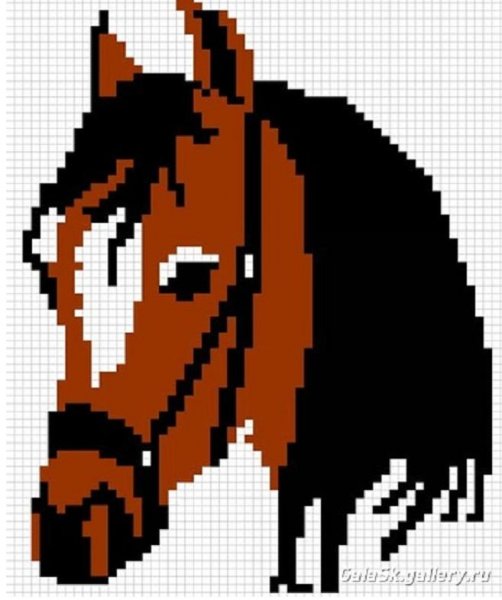 Лошадь в клеточку