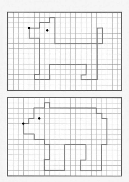 Графический диктант белка по клеточкам для дошкольников