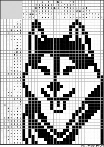 Хаски жаккард схема