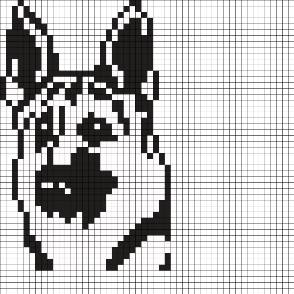 Рисование по клеточкам в тетради собаки