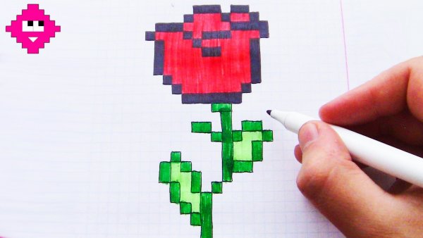 Цветы по клеточкам в тетради